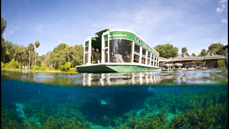 Boat Tours